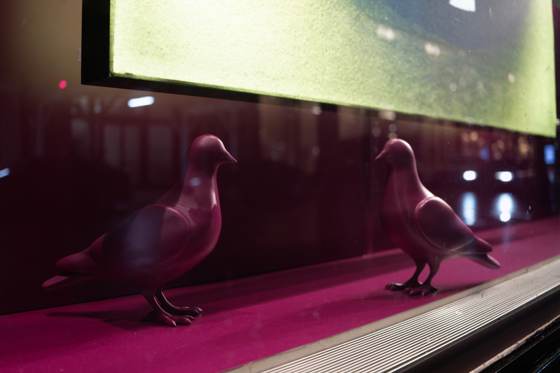 Frame _DSC5454