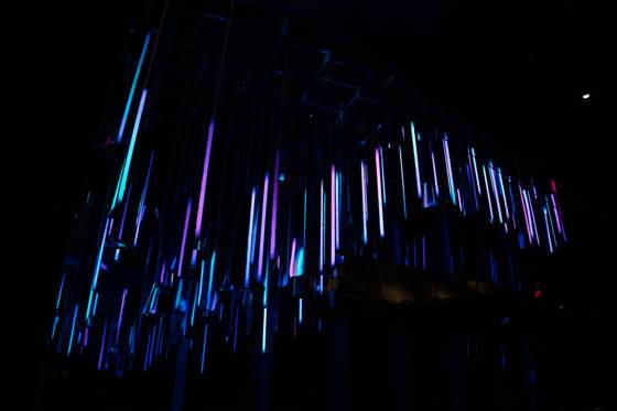 Frame _DSC5631
